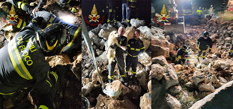 Recupero cane a Schiavonea: intervento complesso dei Vvf di Cosenza