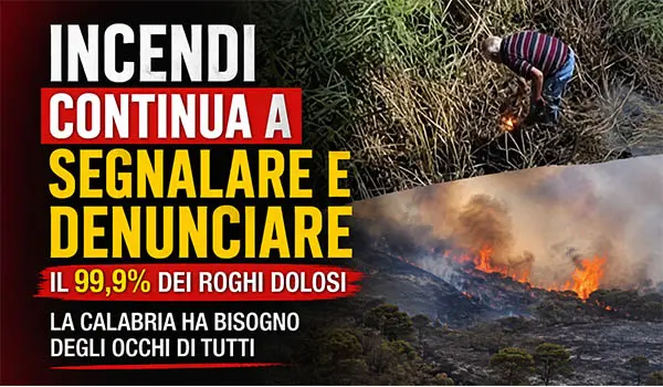 Incendi in Calabria, Occhiuto lancia un appello ai cittadini: "Segnalate ogni comportamento sospetto"